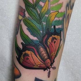 Tattoos - Moth - 142484